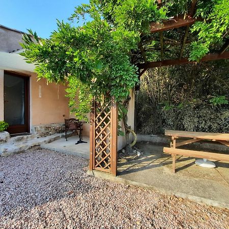 Le Lodge Des Chenes Brousses-et-Villaret Exterior foto