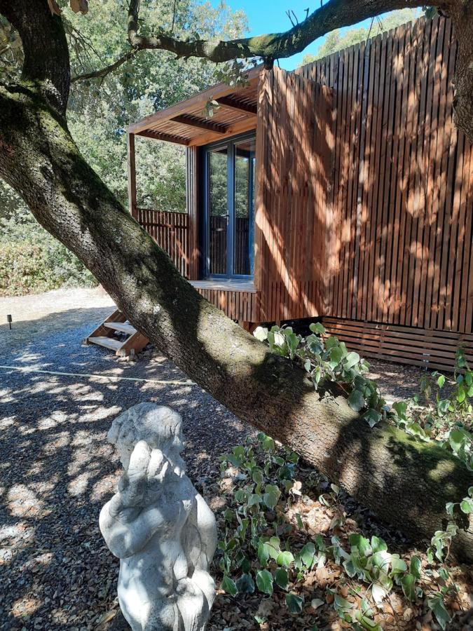 Le Lodge Des Chenes Brousses-et-Villaret Exterior foto
