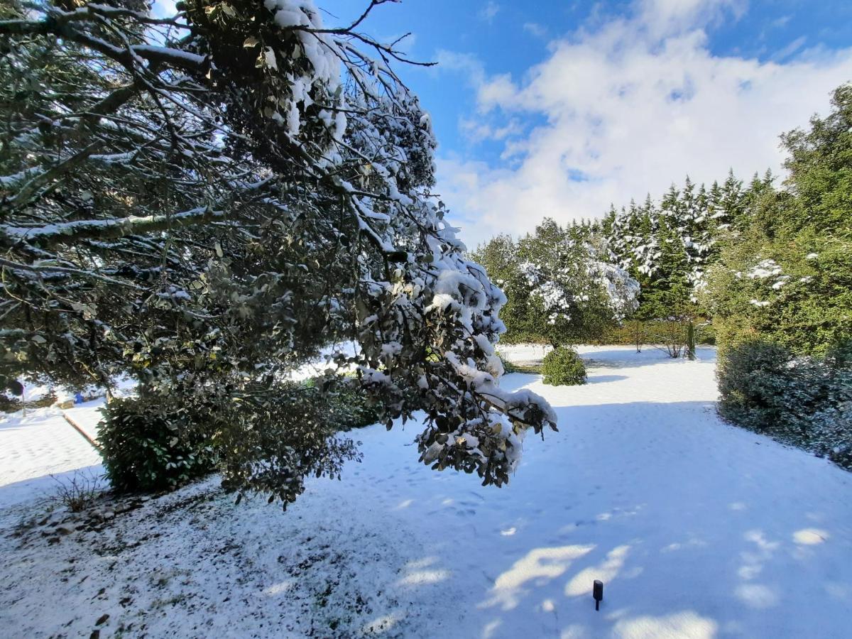Le Lodge Des Chenes Brousses-et-Villaret Exterior foto